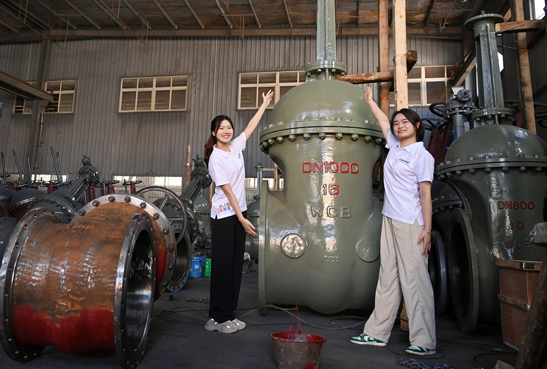 大型自動化閥門，已成為現(xiàn)代化工業(yè)管道系統(tǒng)中不可或缺的關(guān)鍵設(shè)備